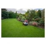 Tondeuse robot Segway Navimow i105E – Image 10